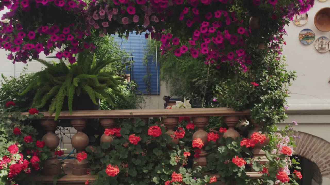 360° Reportage - Cordoue et ses patios fleuris